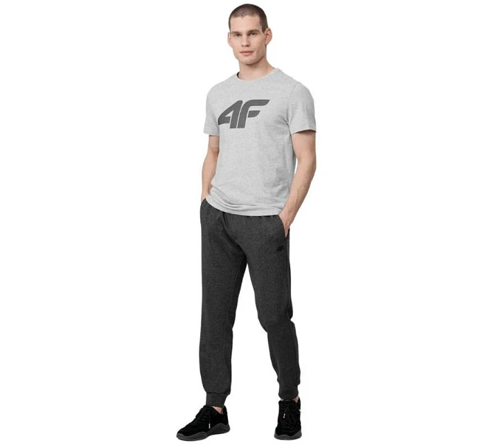 Tričko M H4Z22 model 17729891 27M pánské - 4F Tričko M H4Z22 model 17729891 27M pánské - 4F