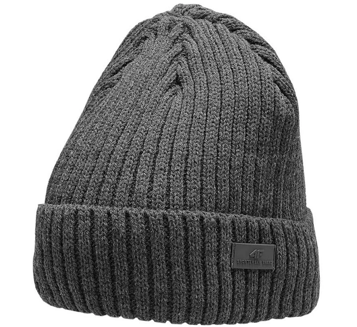 Čepice M H4Z22 model 17732593 24M pánské - 4F Čepice M H4Z22 model 17732593 24M pánské - 4F