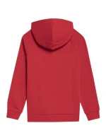 Chlapecká mikina 4FJSS23TSWSM220 62S - 4F