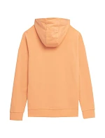 Pánská mikina M SS23TSWS  model 18353885 - 4F