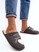 Dámské klasické pantofle s vložkou šedé Mabira