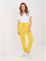 Tepláky CLM DR 1107.98 žlutá