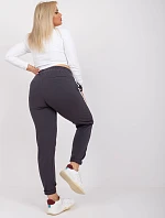 Tepláky RV DR 6643.95 grafit