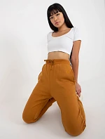 Dámské kalhotky TW SP 2003 .02 světle hnědá - FPrice