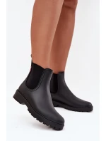 Dámské nízké matné holínky Birella – černé