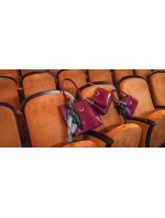 Dámská kabelka Vuch Sassy Elegance Raspberry