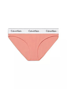 Spodní prádlo Dámské kalhotky BIKINI 0000F3787ELWG - Calvin Klein