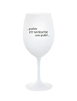 PROTOŽE BÝT INSTRUKTOR NENÍ PRDEL - bílá sklenice na víno 350 ml
