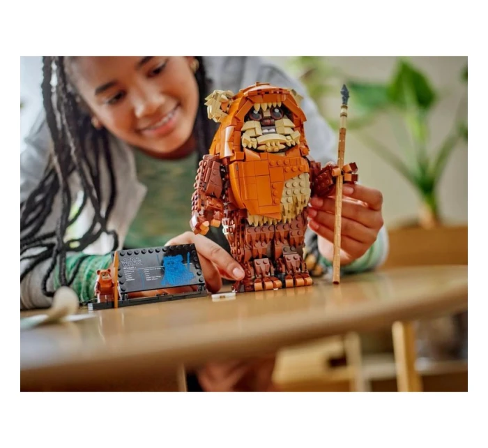 LEGO Star Wars 75430 Ewokova branka