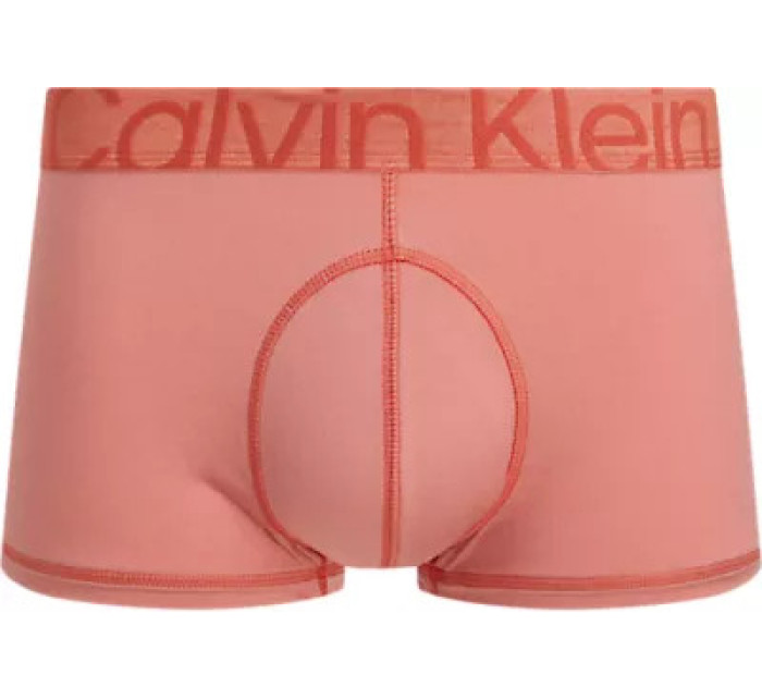 Spodní prádlo Pánské spodní prádlo Spodní díl LOW RISE TRUNK 000NB3678AG4G - Calvin Klein