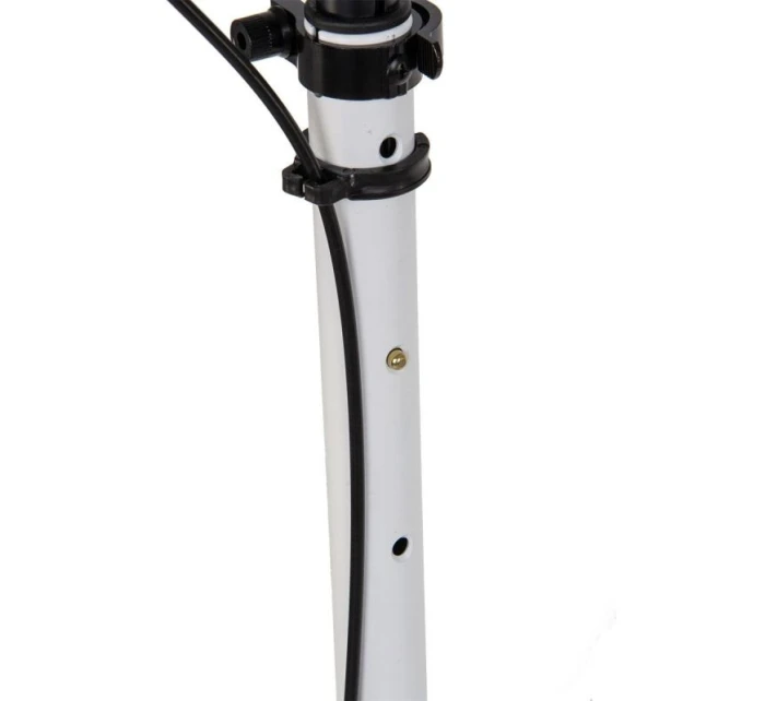 ULTRA SPEED  S  BÍLÁ model 21825839 - Enero