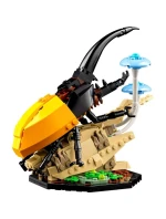 LEGO Ideas 21342 Sbírka hmyzu