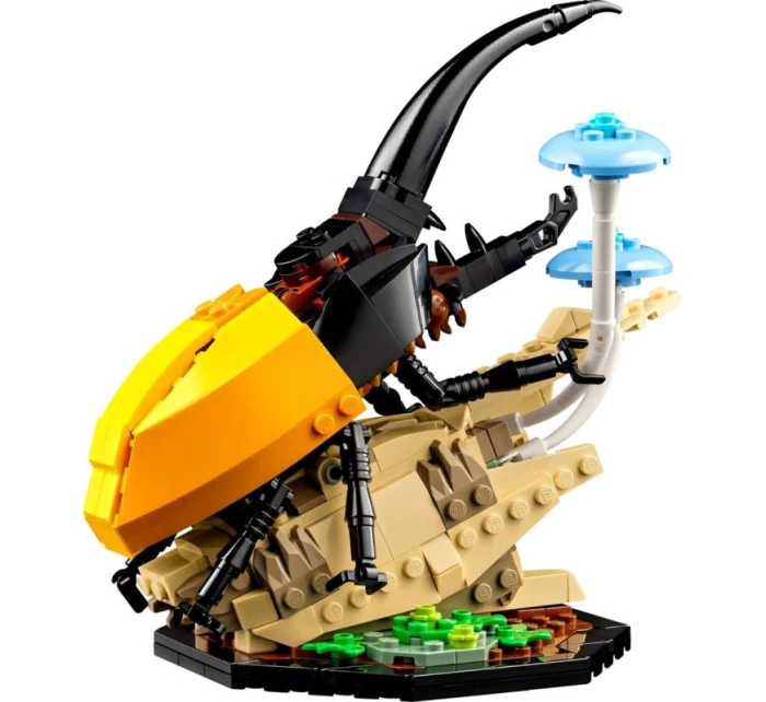 LEGO Ideas 21342 Sbírka hmyzu