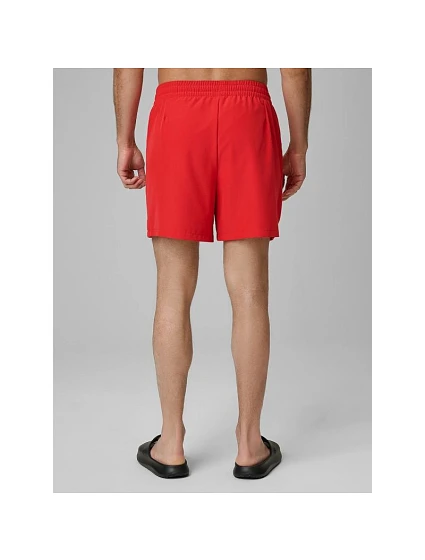 Pánské plážové šortky typu boardshorts model 22271920 - 4F