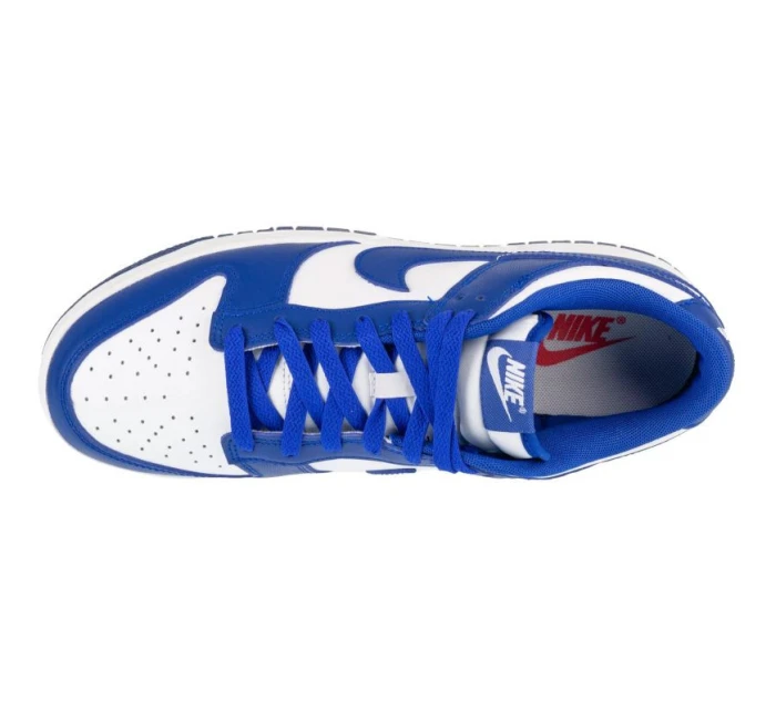 Boty Nike Dunk Low Retro M DV0833-103 Boty Nike Dunk Low Retro M DV0833-103