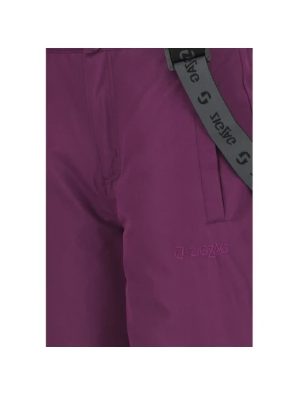 Dětské lyžařské kalhoty  10000 model 21717957 - Zigzag