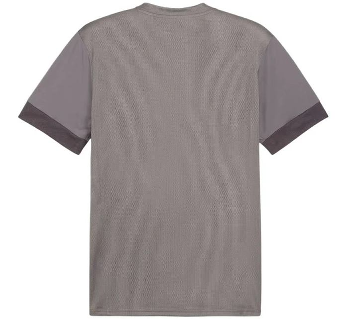 teamGoal Jersey M 13 pánské model 21281704 - Puma