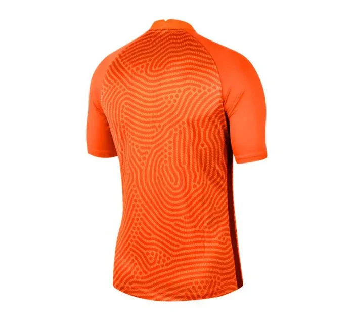 Pánský brankářský dres Gardien III GK M BV6714-803 - Nike