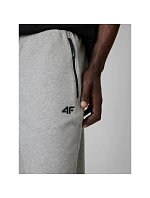 Pánské tepláky typu jogger model 22117482 - 4F