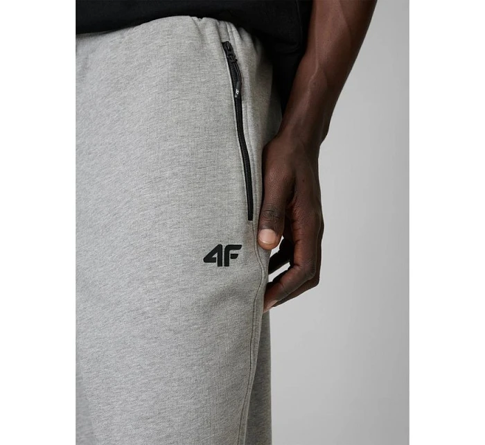 Pánské tepláky typu jogger 4F 4FRMM00TTROM2020-27M