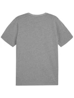 Puma Team Goal Casuals Tee M 658615 33 pánské Puma Team Goal Casuals Tee M 658615 33 pánské