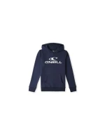 Mikina O'Neill Logo Hoodie Jr model 20080494 - ONeill