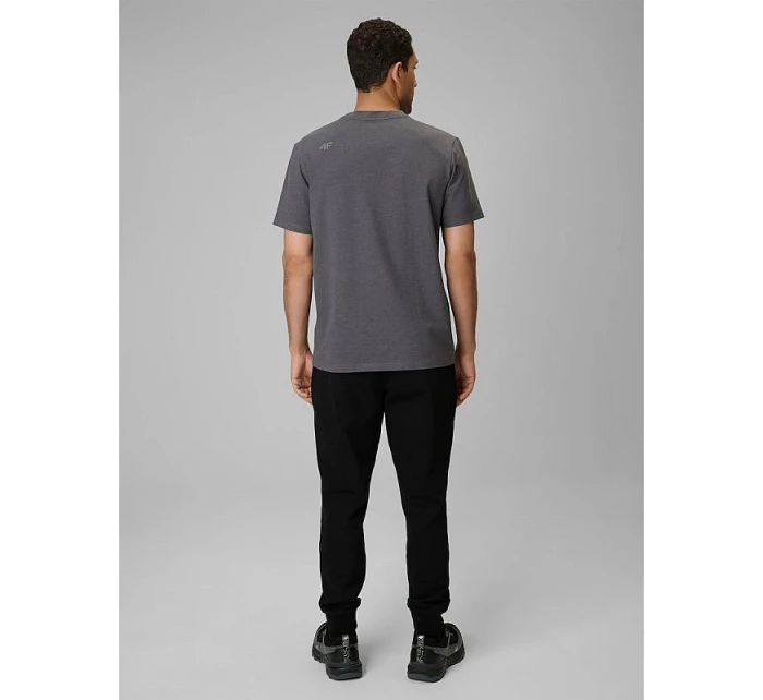 Pánské tepláky typu jogger 4F 4FRMM00TTROM2020-20S