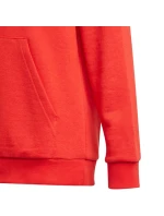 Dětská mikina Essentials Big Logo Hoodie Jr GN4037 - Adidas