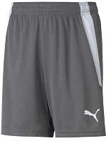 Puma teamLIGA Shorts Jr 704931 13
