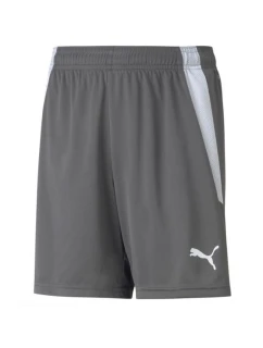 Puma teamLIGA Shorts Jr 704931 13