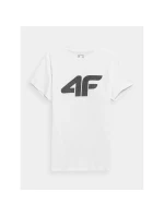 Pánské tričko s potiskem model 21432848 pánské - 4F Pánské tričko s potiskem model 21432848 pánské - 4F