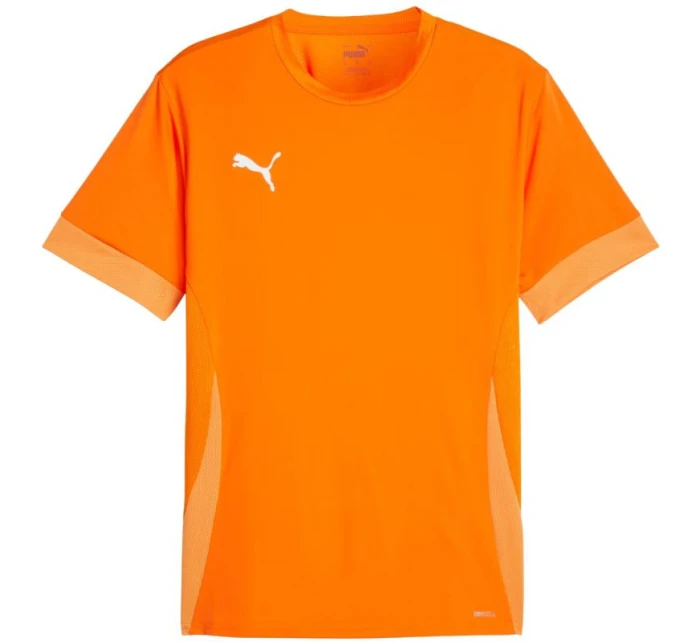 teamGoal Jersey M 08 pánské model 21283917 - Puma
