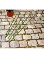 DO model 21832010 - Kinzo