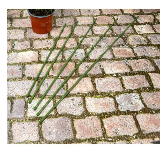 DO model 21832010 - Kinzo