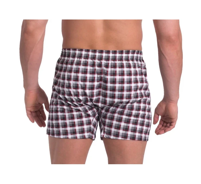 Pánské boxerky PANTHER model 5037353 - Sesto Senso