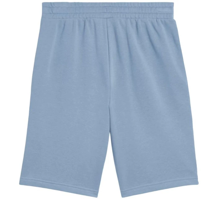 Ess 2 Color No. 1 Logo Shorts M model 21283839 34 - Puma