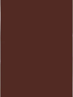 Classic 100 Plážová osuška "Classic" model 22526904 brown - The One Towelling