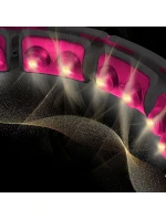 S A + HMS model 21810849