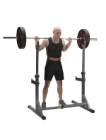 S model 21810750 - HMS S model 21810750 - HMS