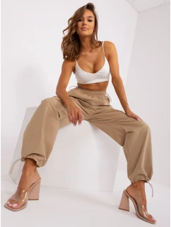 Spodnie TW SP model 20078340 ciemny bezowy - FPrice