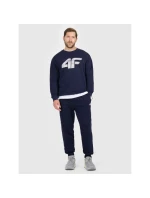 Pánské tepláky typu jogger 4F 4FRMM00TTROM1624-31S Pánské tepláky typu jogger 4F 4FRMM00TTROM1624-31S