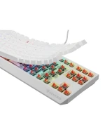 model 21716571 230 TKL Herní klávesnice USB QWERTY US English White - Genesis model 21716571 230 TKL Herní klávesnice USB QWERTY US English White - Genesis