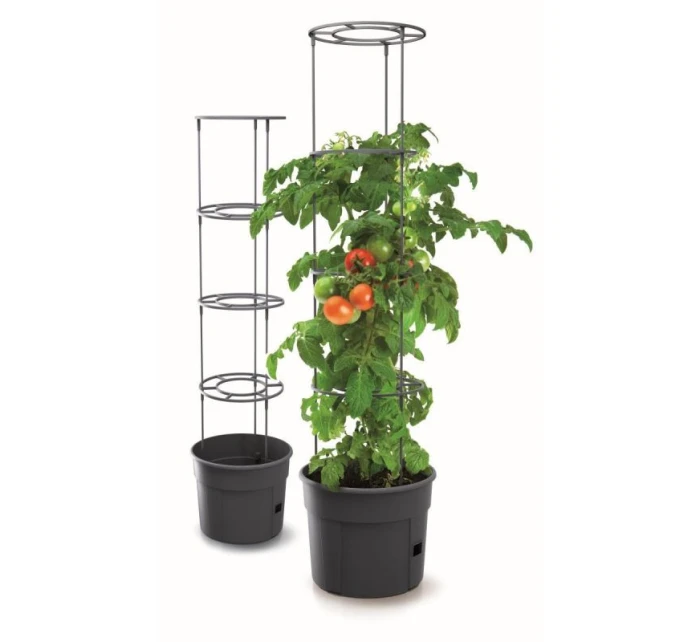 Rajčatový hrnec s žebříkem o objemu 28 l Rajčatový hrnec s žebříkem o objemu 28 l