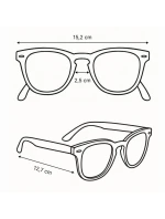 Brýle Radvik Ubbe Fc 92800595460