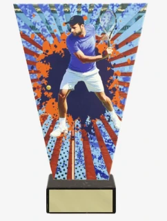 Triumph model 21363612 - Tryumf