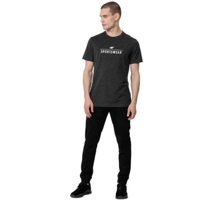 Pánské tričko M H4Z22 TSM354 23M - 4F Pánské tričko M H4Z22 TSM354 23M - 4F