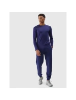 Tričko M model 21425320 pánské - 4F Tričko M model 21425320 pánské - 4F