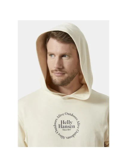 Core Graphic Sweat Hoodie M model 20235158 034 - Helly Hansen