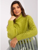 Sweter AT SW  oliwkowy model 20218519 - FPrice