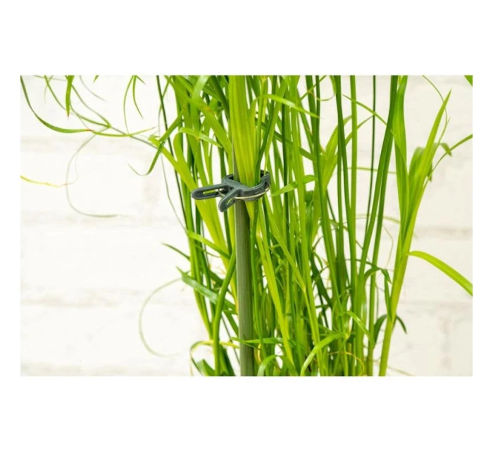 SPONKY NA ROSTLINY 20KS KINZO